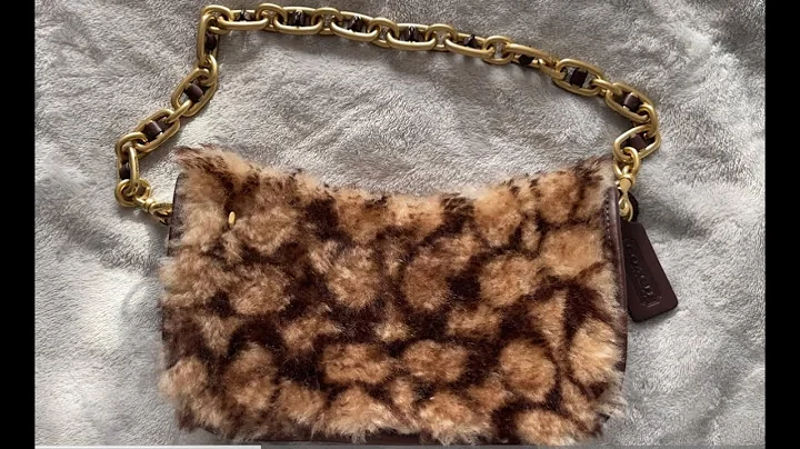 Coach Sale Purchase - Swinger (Shearling) 20 Bag Review