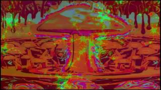 Psilocybe Cubensis (reh) DEMO1