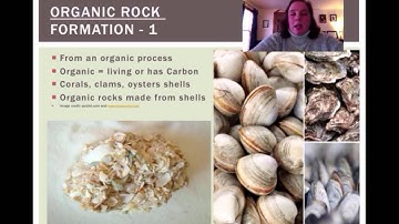 sedimentary part 3 Video #65