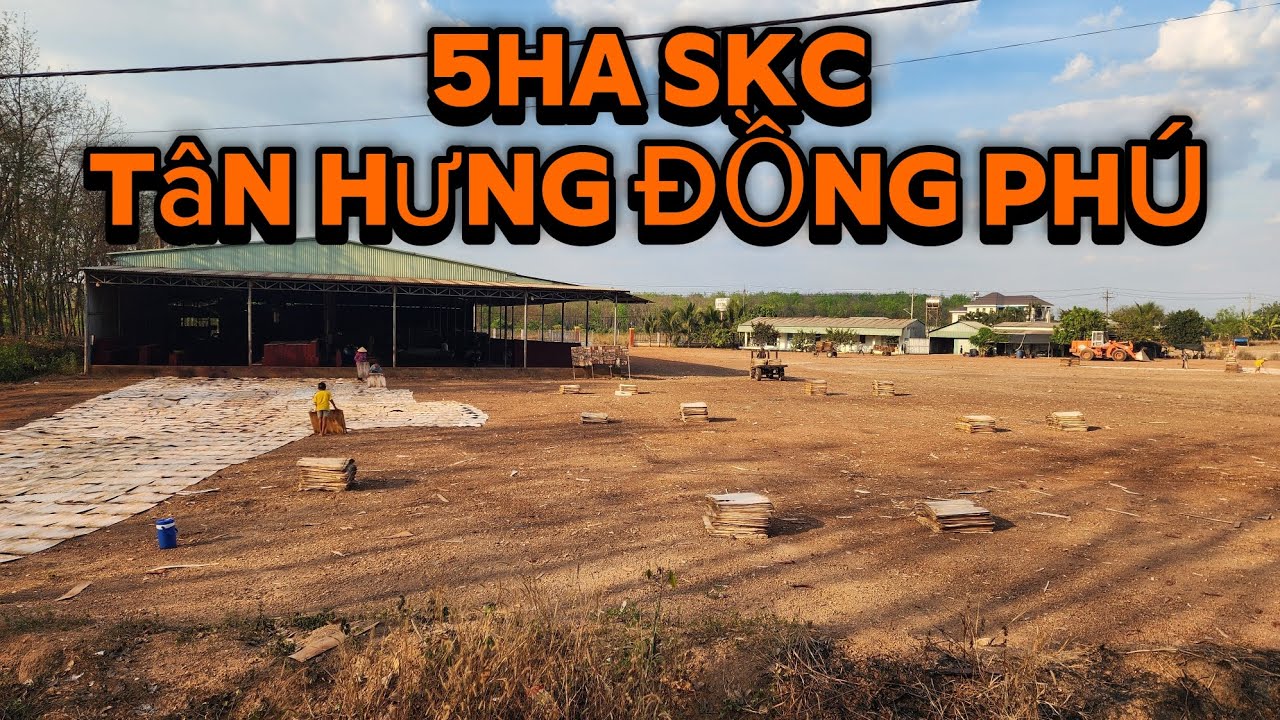 Bán 5ha SKC 10.000m2 - Thổ cư 200m2 xã tân lợi tỉnh Đồng Nai ☎0918.645.130
