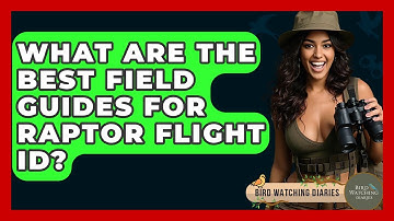 What Are The Best Field Guides For Raptor Flight ID? - Bird Watching Diaries