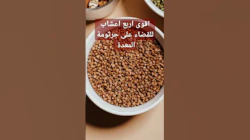 أعشاب طبيعية للقضاء على جرثومة المعدة 