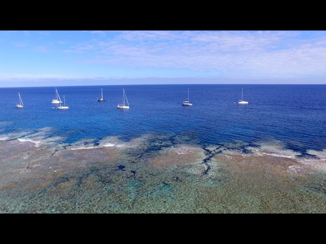 The Beautiful Sound of Whale Song (Sailing La Vagabonde) Ep. 66