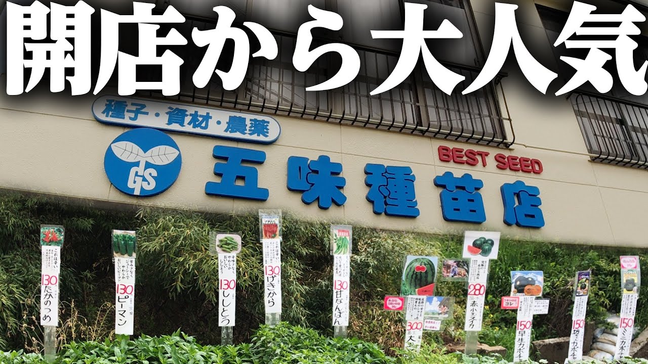 五味種苗店】開店と同時に地元客が押し寄せる種苗店 - YouTube