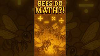 Bees Can Do Math 🐝