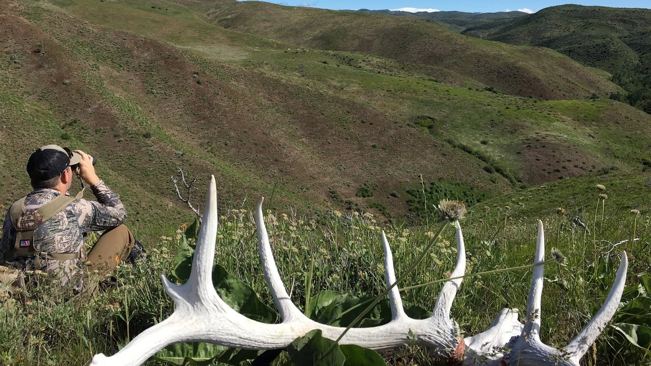 Idaho Shed Hunting Feb 2020 YouTube