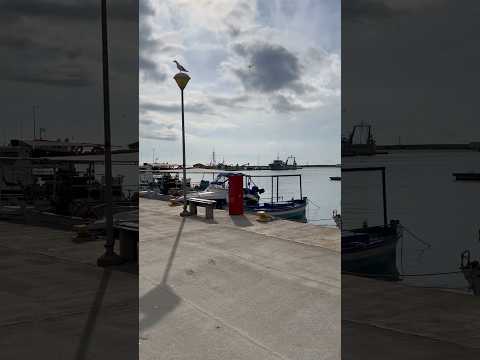 Очень красивое место в Греции. Неа Муданья Халкидики #greece #halkidiki #море #отдых #курорт