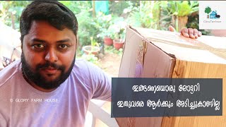 Buy Cheapest Pots Online in kerala | അടിച്ചു മോനേ ലോട്ടറി - കുറഞ്ഞ വിലയ്ക്ക് ഇത്രയും ചെടിച്ചട്ടികളോ