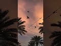 🕋 quransharif#video#youtubeshorts.
