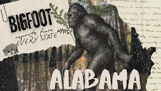 Bfro Bigfoot Sightings In Every State Alabama