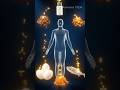 How Protein Rebuilds You After Every Workout #fitness #science