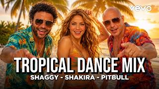 Shaggy x Shakira x Pitbull - Tropical Dance Mix | Sunset In Paradise | World Celebration 2026