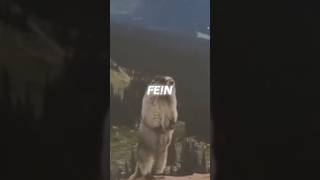 #edits #fein #girls #insane #onlyfans #trendy #insaneedits