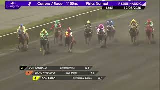 Vidéo de la course PMU PRIX CLUB CONCEPCION