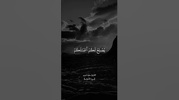 #قرآن #آيات #ذكر_الله #طمأنينة #اسلاميات #ايمان #دين #الراحة_النفسية #دعاء