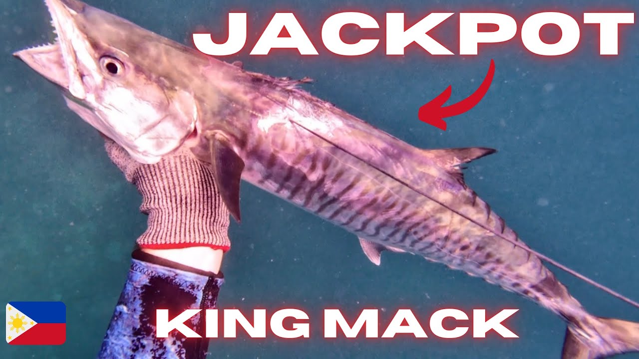 🏆JACKPOT KING MACKEREL SA UNANG ARAW NETO 🔥#spearfishingphilippines #catch #mamaw