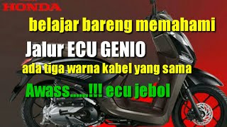 Jalur ecu genio belajar memahami warna kabel ecu genio