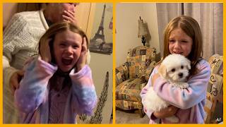 NEW PUPPY SURPRISE COMPILATION 2026 | WHOLESOME SURPRISE MOMENTS