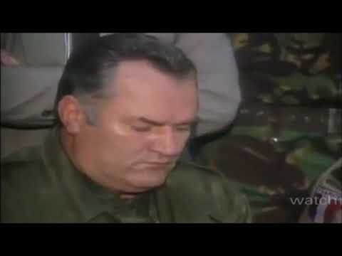 (MAD) 命に嫌われている(まふまふ Ver)  Yugoslavian War Ver.