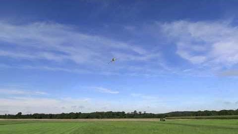 Phoenix RC: learning inverted flying