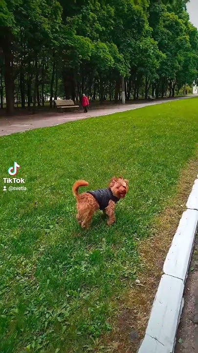 Я люблю Харків!💗 - YouTube