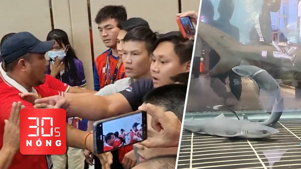 ⁣Bản tin 30s Nóng: 2 ban huấn luyện tuyển Pencak silat xô xát; Khoảnh khắc cá mập sinh 3 con trong bể