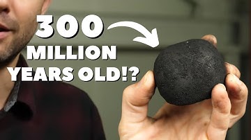 Why almost all coal was made at the same time