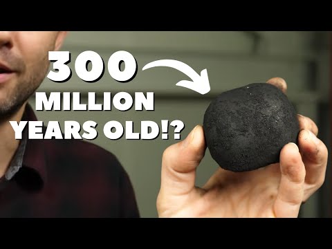 Video: De unde a venit inițial cărbunele?