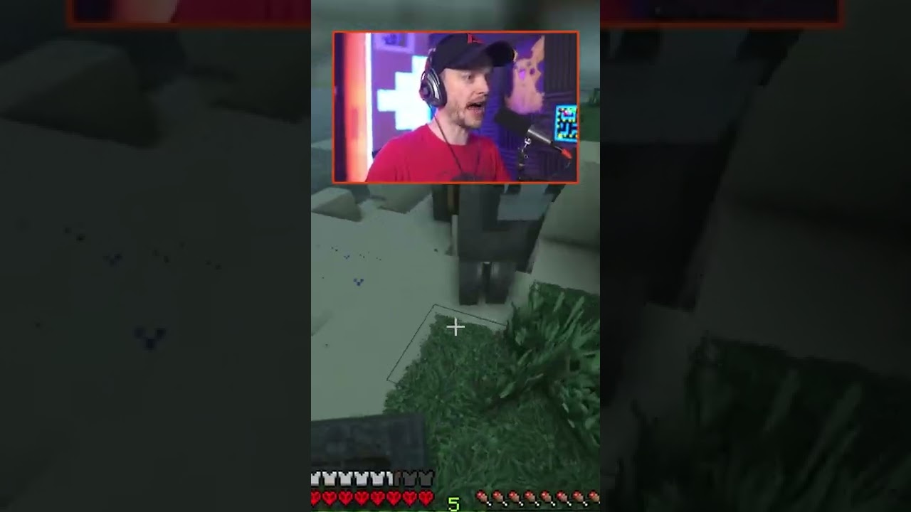 Streamer Dies After 69 Days - Who Do We Blame...