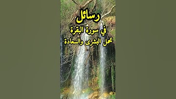 رسائل في سورة البقرة تحمل لك البشرى والسعادة ؟!