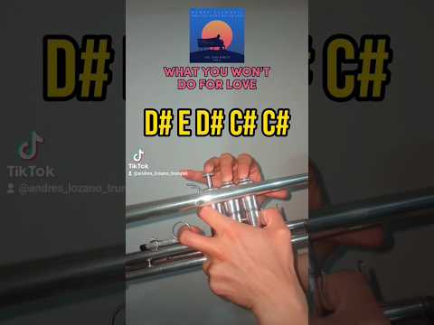 What You Won T Do For Love Trumpet Tutorial English Tutorial Music Trumpet Viral Shorts