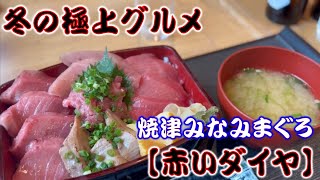 【冬の極上グルメ】静岡県 焼津市 「丸入商店 波なれ」に行ってみた!”赤いダイヤ”をいただきます!
