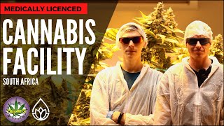 Touring an Indoor Medical Cannabis Facility in South Africa - Uncle Rooney's