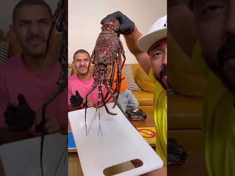 تحدي قطم لعق ولاشيء