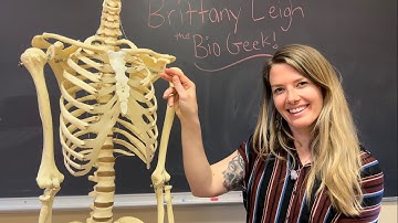 The Axial Skeleton: Sternum, Ribs, and Hyoid