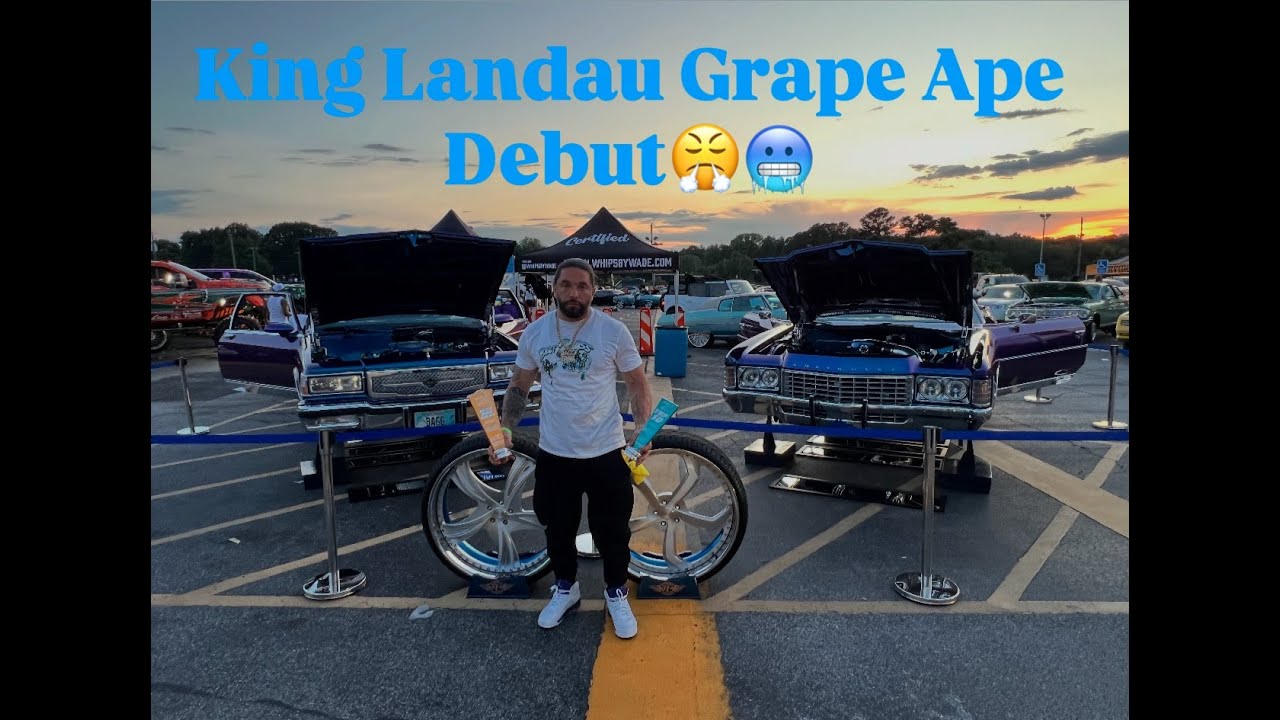 King Landau Grape ape Debut