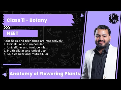 Video: Er trichome septate?