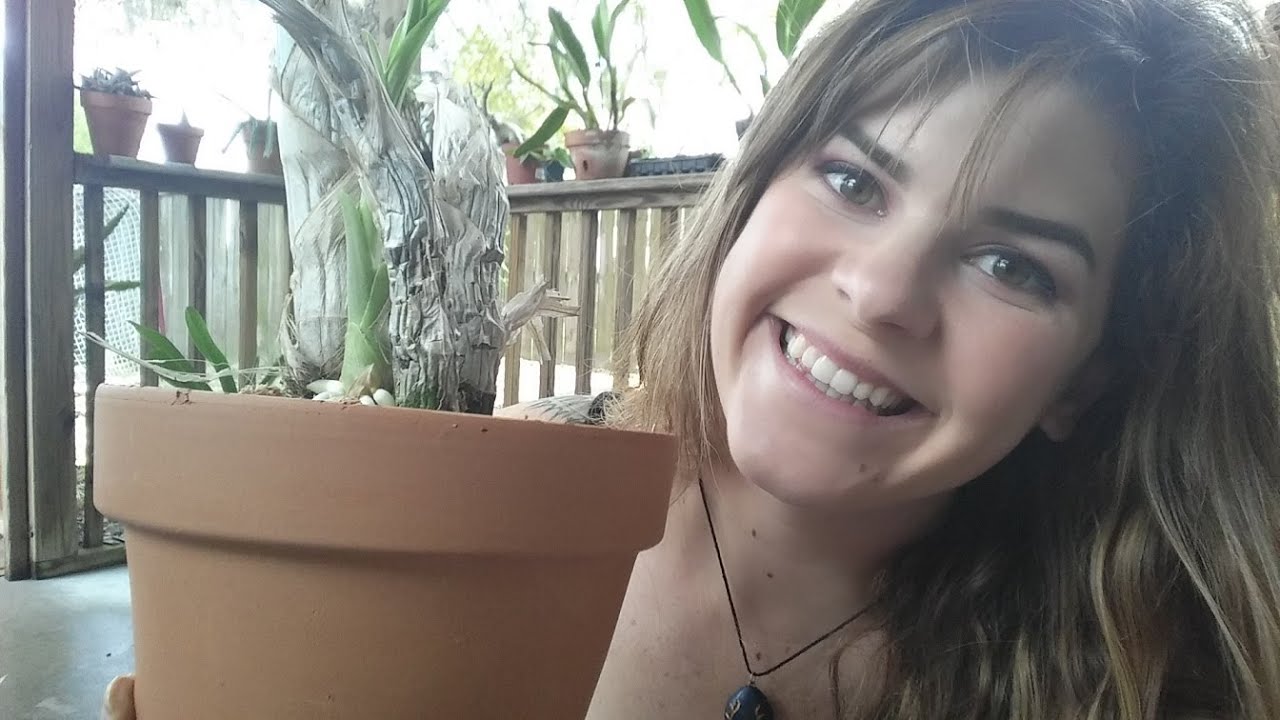 Catasetum Culture: When to water and repot