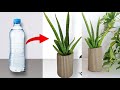 How to Make a Beautiful Cement Pot Easy DIY Planters for Beginners | cement craft ideas flower vase