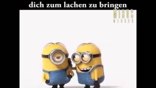 Minions total verblödet