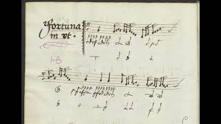Buchner Fortuna Desperata
