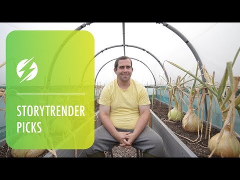 Giant Vegetable Whisperer Strokes Leeks To Help Them Grow - A young gardener says that the secret to his giant leeks, onions and tomatoes is stroking and talking to them.