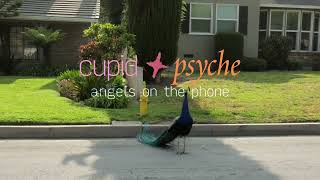Cupid & Psyche - Angels On The Phone (Official Video)