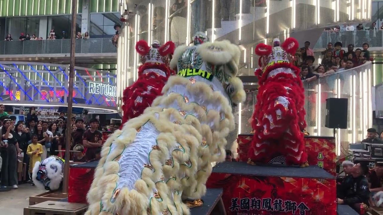 2026 Luna New Years!!! Year of the Horse.