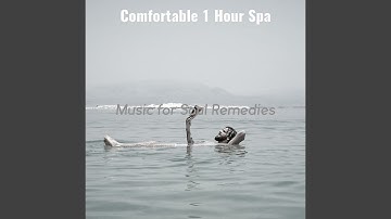 Simple Koto and Strings - Vibe for Soul Remedies