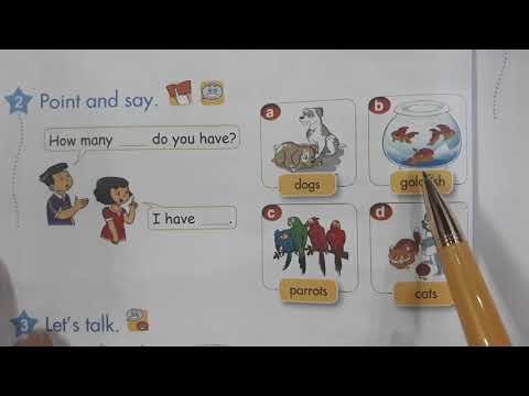 Video tiếng Anh lớp 3 Unit 17 lesson 2 - youtube