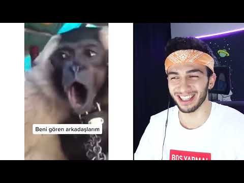 en komik tiktok videolari VideoMon Biz