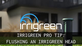Flushing an Irrigreen Sprinkler Head