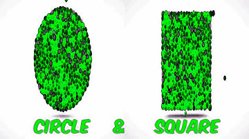 LEARN SHAPES WITH COLOR BALLS (CIRCLE & SQUARE) Sponsored BY; Preview 2 Random Effects Combined