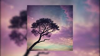 A Moment Beyond Time